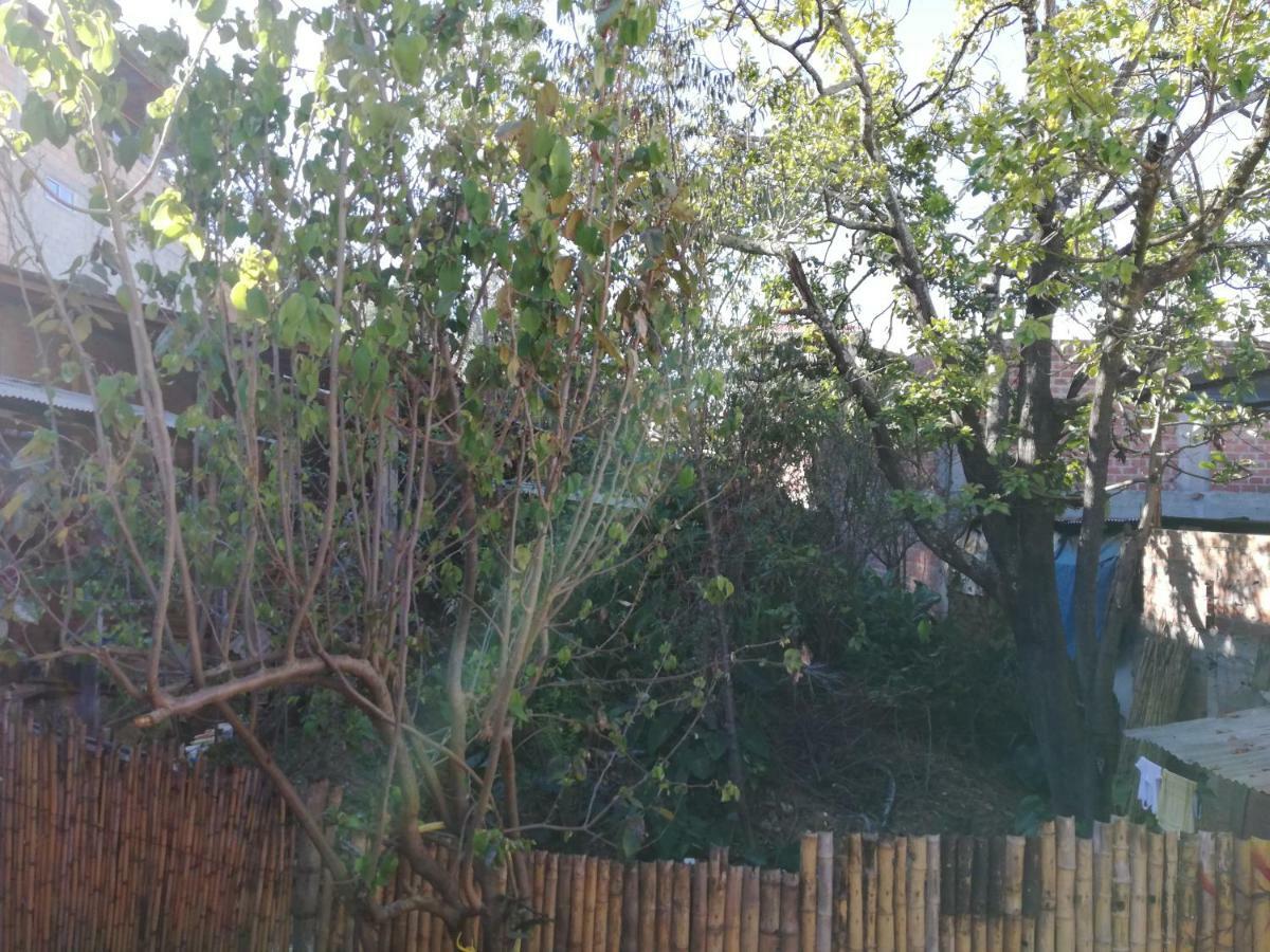 Aventura Chachapoyas Backpackers Hostel Exterior foto